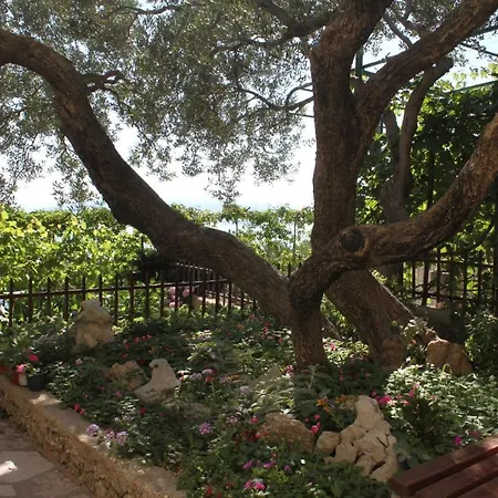 Appartement With Parking Space - 6792