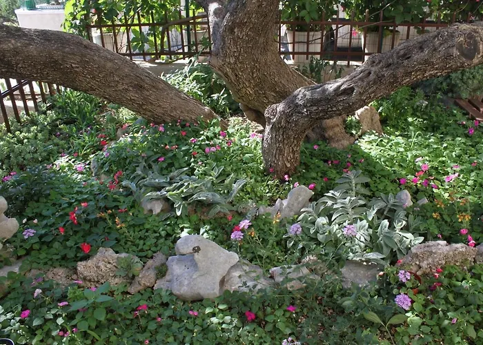 Apartamento With Parking Space - 6792 *